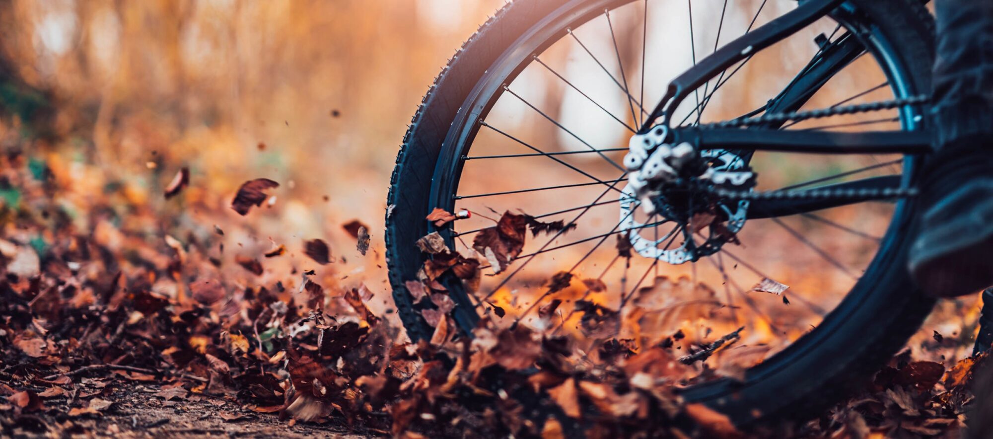 mountainbiken-herfst-voorbereiden