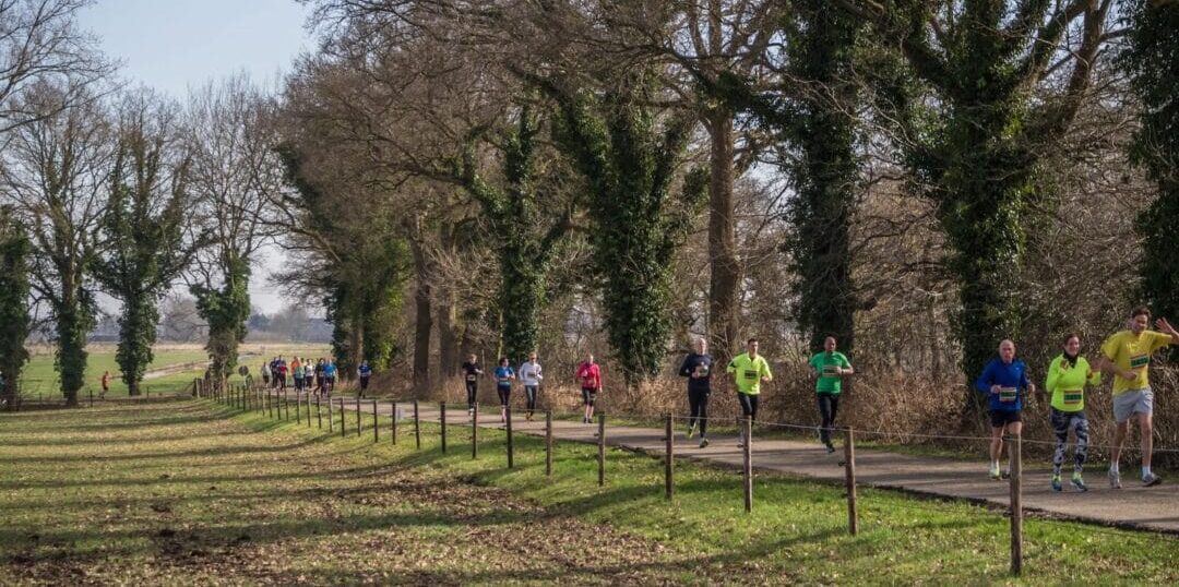 Halve Marathon Van Haren Natuur