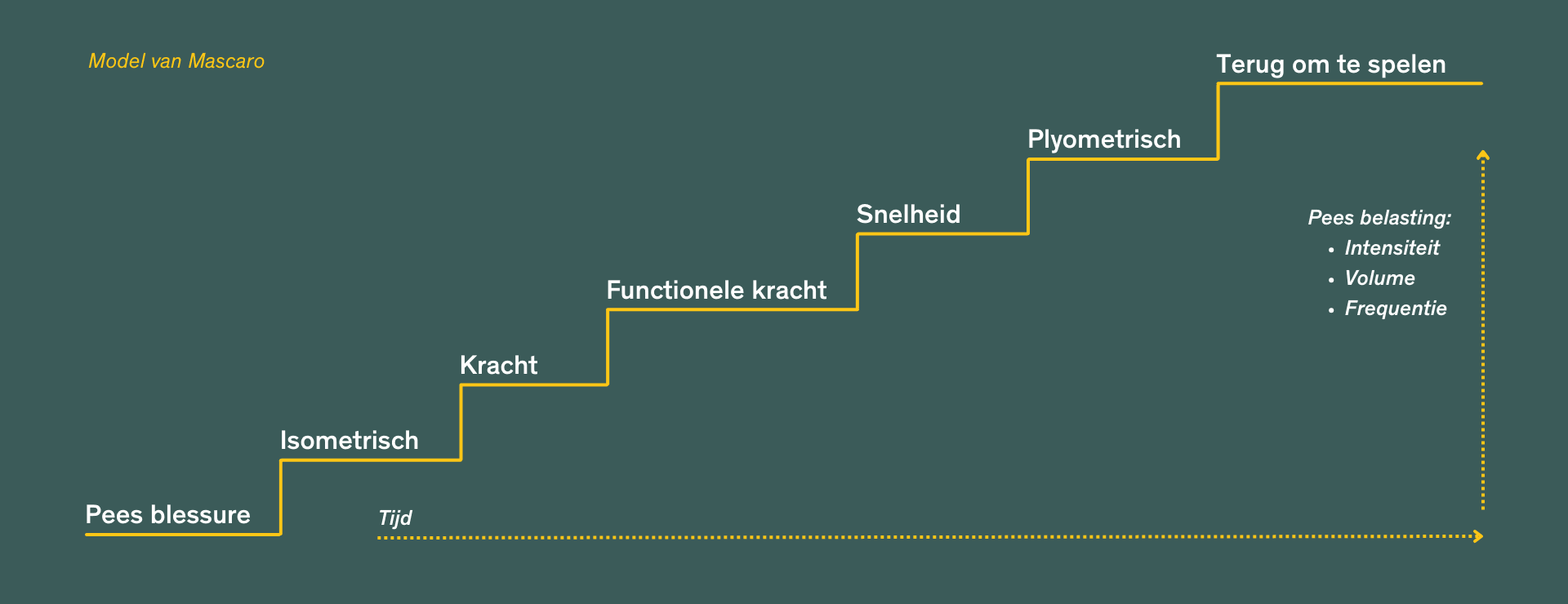 Model van Mascaro. blessure herstel